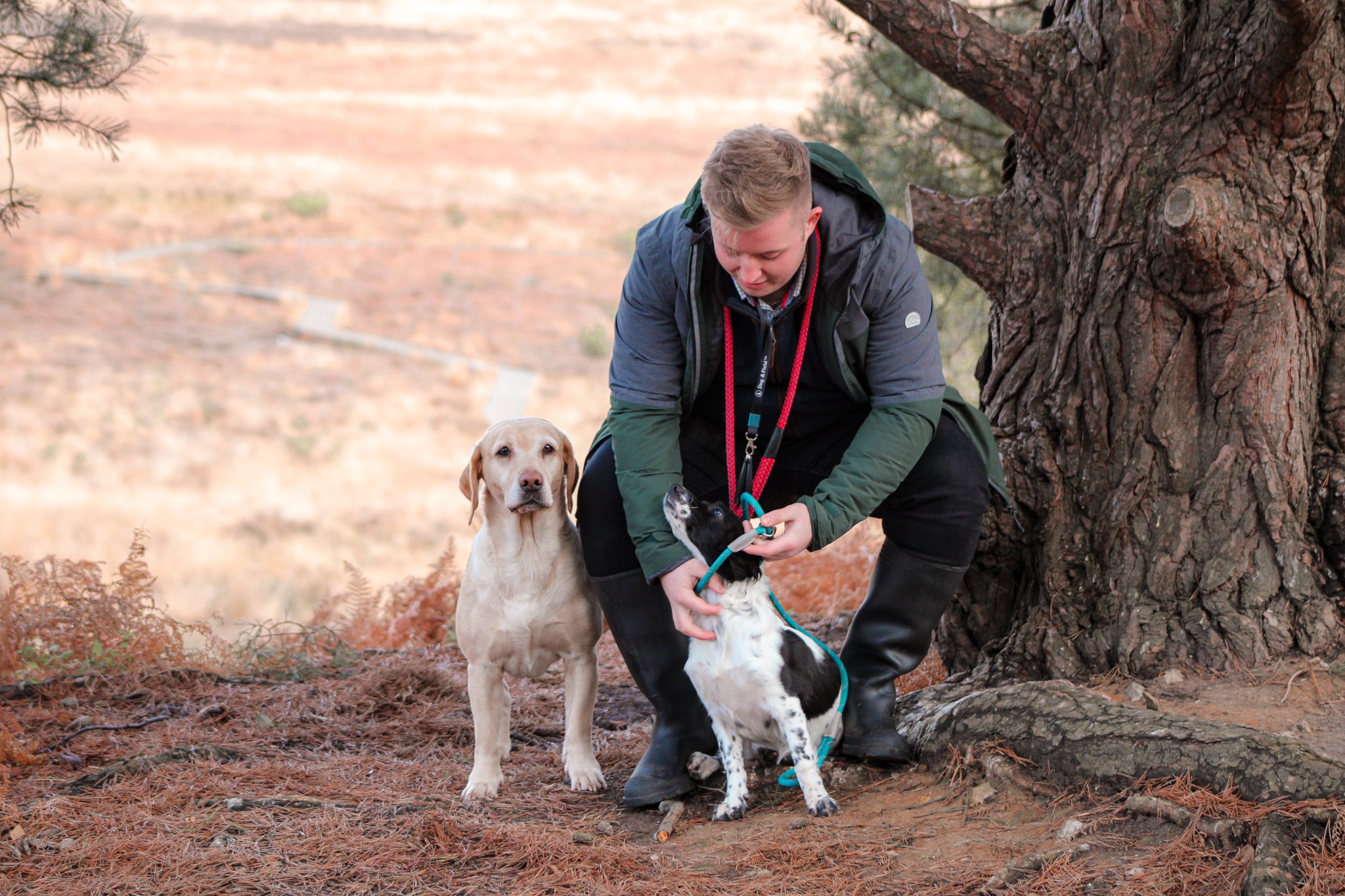 MNC Dog Consultancy difference